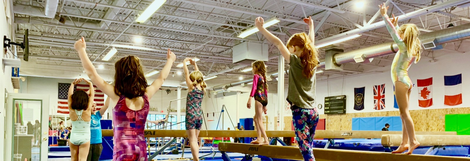 Girls Gymnastics