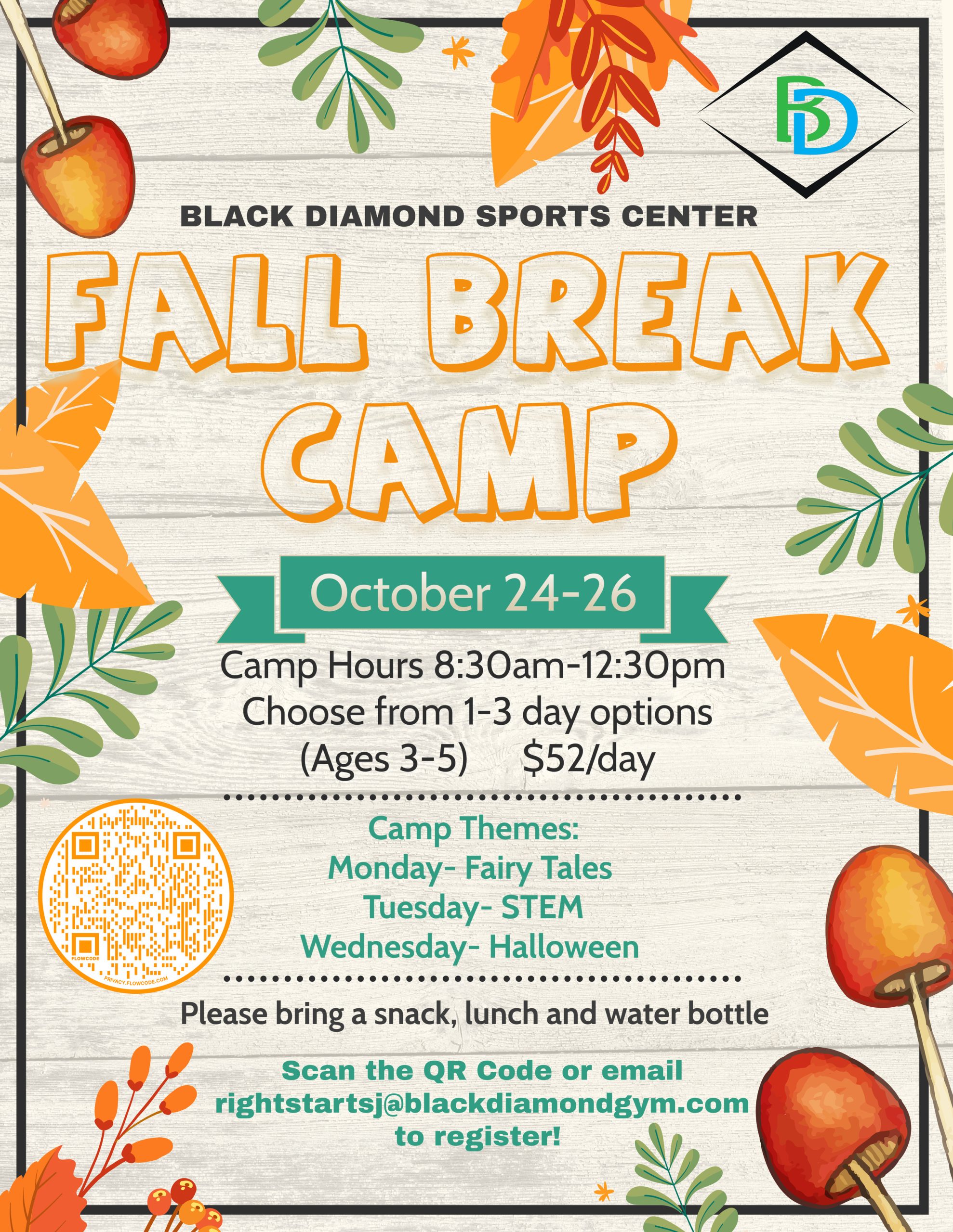 Fall Break Camp Register Now Black Diamond Gymnastics and Sports Center