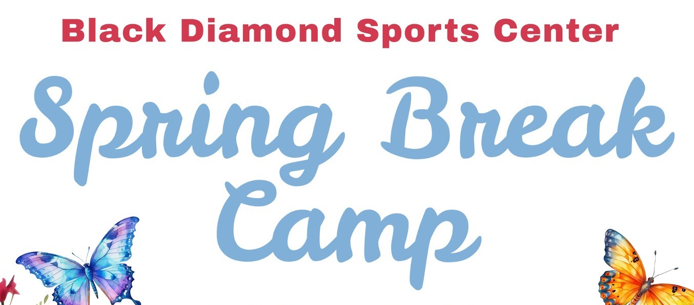 Spring Break Camp (March 25-28)