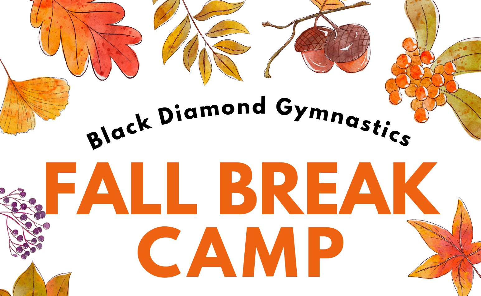 Fall Break Camp